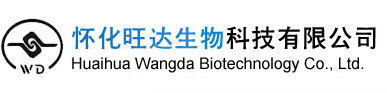 拼搏手机官方网站入口