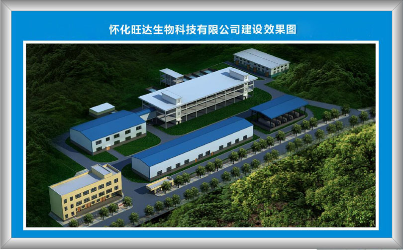 拼搏手机官方网站入口